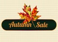 Autumn sale