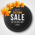 Autumn sale label. Invitation gift card. Web banner with lettering. Seasonal round banner with autumn leaves. Maple leaf. Seasonal