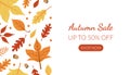 Autumn Sale Landing Page Template with Bright Leaves, Seasonal Proposition from Store Web Page, Mobile App, Homepage Royalty Free Stock Photo