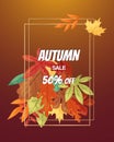 Autumn sale with leaf poster vector illustration. Green, red, orange, brown and yellow falling leaves. Colorful maple Royalty Free Stock Photo