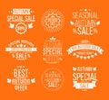 Autumn sale Logotypes set. Special offer badges