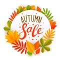 Autumn sale message with leaves