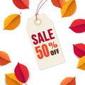 Autumn sale 50 off, tag template. Falling bright colorful leaves isolated on white background. Poster, card, label, web Royalty Free Stock Photo