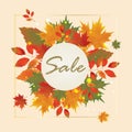 Autumn Sale Poster Design Template Royalty Free Stock Photo