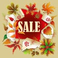 Banner for Autumn sale with colorful seasonal fall leaves and rowan for shopping discount promotion. Vector illustration