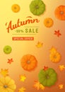Autumn sale poster. Discount, sale in autumn. Vertical banner flyer with yellow, green, orange pumpkins, leaves Royalty Free Stock Photo