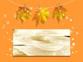 Autumn sale poster with fall leaves on wooden backgrounds. Royalty Free Stock Photo