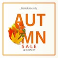 Autumn sale poster with fall leaves on wooden backgrounds. Vector illustration for website and mobile website banners, posters Royalty Free Stock Photo