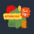 Autumn sale banner Royalty Free Stock Photo