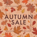 Autumn sale. Promotional poster with autumn leaves. Fall of the leaves.