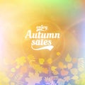 Autumn sale realistic Leaves typography poster.