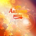 Autumn sale realistic Leaves typography poster.