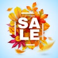 Autumn sale. Seasonal promotion design with red and yellow realistic leaves. Thanksgiving october discount offer. Vector Royalty Free Stock Photo