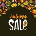 Autumn sale series Royalty Free Stock Photo