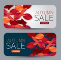 Autumn sale set of banner with rounded corners. Gift card or promo voucher. Red and orange fall leaves on background. Advertising Royalty Free Stock Photo