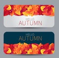 Autumn sale set of banner with rounded corners. Gift card or promo voucher. Red and orange fall leaves on background. Advertising Royalty Free Stock Photo