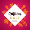 Autumn sale shopping discount vector poster fall maple leaf gold web banner Royalty Free Stock Photo