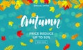 Autumn sale shopping discount vector poster fall maple leaf gold web banner Royalty Free Stock Photo