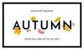 Autumn sale shopping discount vector poster fall maple leaf web banner Royalty Free Stock Photo