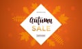 Autumn sale shopping discount vector poster fall maple leaf web banner