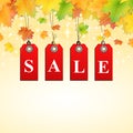 Autumn sale sign background