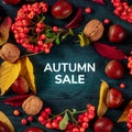 Autumn Sale square banner with chestnuts and autumn leaves, shot from above Royalty Free Stock Photo