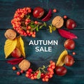 Autumn Sale square banner with fall leaves and chestnuts Royalty Free Stock Photo