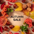Autumn Sale square banner or flyer design with chestnuts and autumn leaves, top-down flatlay Royalty Free Stock Photo