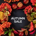 Autumn Sale square design with chestnuts and fall leaves, overhead shot Royalty Free Stock Photo