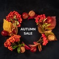 Autumn Sale square design for a flier or banner, with autumn leaves and chestnuts, shot from the top, a fall flat lay
