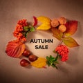 Autumn Sale square design for a flyer or banner, with fall leaves, chestnuts, and berries, overhead flatlay shot Royalty Free Stock Photo
