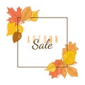 Autumn sale square frame banner vector illustration. Squared frame with autumnal leaves on background. Fall sale squares Royalty Free Stock Photo