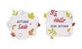 Autumn Sale Sticker with Bright Foliage of Different Leaf Color Vector Template Set Royalty Free Stock Photo