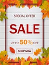 Autumn sale template background  for website with frame, seasonal fall leaves and wood. Special offer, autumn sale. vector Royalty Free Stock Photo