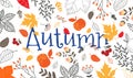 Autumn sale template with fall leaves. Background for shopping sale web banner, label, promo Poster template. Vector illustration Royalty Free Stock Photo