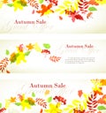 Autumn sale template horizontal banner with fall bright leaves: