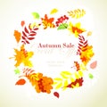 Autumn sale template round frame with fall bright leaves: oak, m Royalty Free Stock Photo