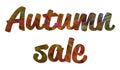 Autumn sale text banner on plain white background