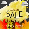 Autumn sale text vector banner with colorful seasonal fall leaves in orange background for shopping discount promotion. Vector i Royalty Free Stock Photo