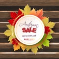 Autumn sale text vector banner design with colorful autumn season leaves fall in wooden background for seasonal