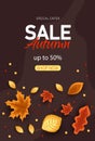 Autumn sale vector background. Autumn sale and discount text in red space with maple leaves in white textured background for fall Royalty Free Stock Photo