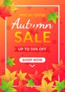 Autumn sale vector background decorate with leaves for holiday sale promo, invitaion card and greeting card. Vector illustration