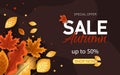 Autumn sale vector background. Autumn sale and discount text in red space with maple leaves in white textured background for fall Royalty Free Stock Photo