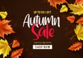 Autumn sale vector background. Fall season banner design with autumn sale and discount text Royalty Free Stock Photo