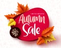 Autumn sale vector banner. Autumn sale and discount text in red space with maple leaves Royalty Free Stock Photo