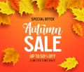 Autumn sale vector banner background with fall leaves elements