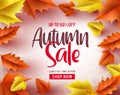 Autumn sale vector banner background. Autumn sale text and maple leaves Royalty Free Stock Photo