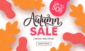 Autumn sale vector banner design. Fall season shopping discount with maple and oak leaves element Royalty Free Stock Photo