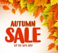 Autumn sale vector banner design with orange and yellow maple leaves