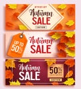 Autumn sale vector banner design set with colorful maple leaves elements